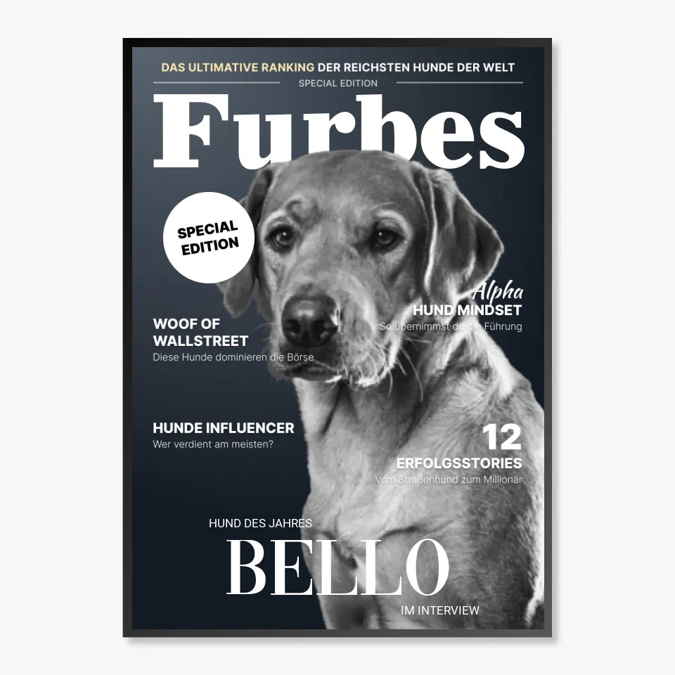 Personalisiertes Poster Hundemagazin "FURBES"