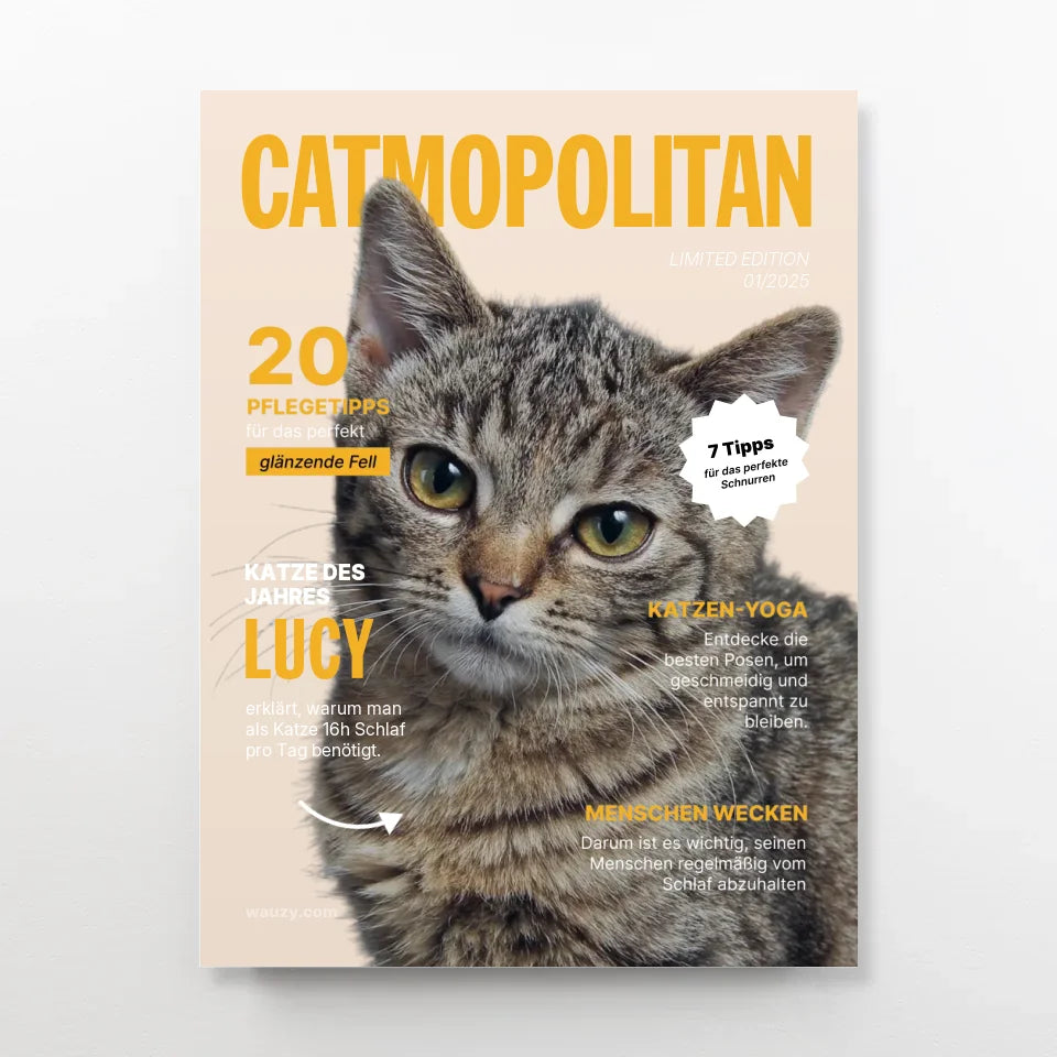 poster-overlay (36)