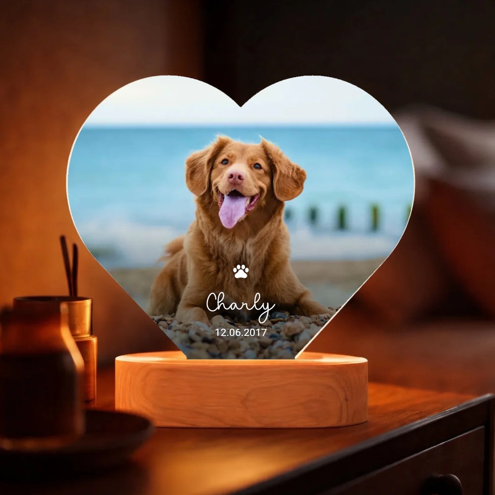 Erinnerungen ans Haustier