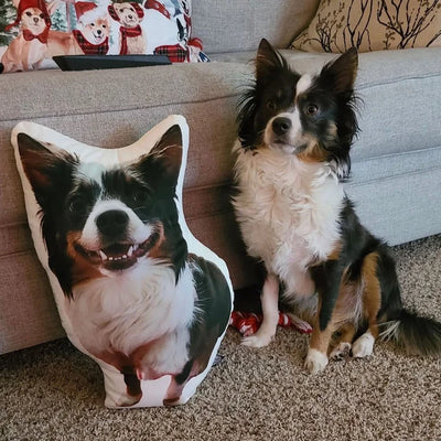 Kundenfotos